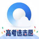 作品寿命与Gucci的图案